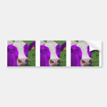 purple cow bumper stickers