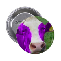purple cow pin