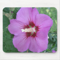 Purple Craze Mousepad mousepads