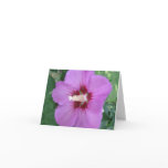 Purple Craze Note Card Purple Craze Note Card