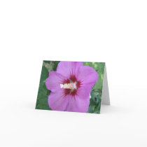 Purple Craze Note Card