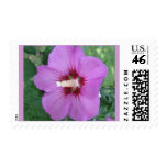 Purple Craze Stamp