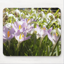 Purple Crocus and Snowdrops Mousepad mousepads