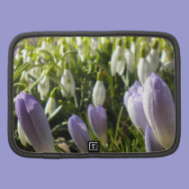 Purple Crocus and Snowdrops Planner planners