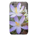 Purple Crocus and The Bee iPhone 3 case