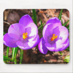 Purple Crocus Mousepad mousepads