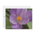Purple Crocus PICT5930 invitations by HortusFloridus Purple Crocus PICT5930 invitations