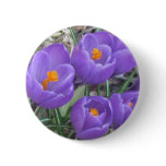 Purple Crocuses Pin