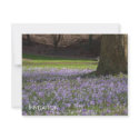 Purple Crocuses DSC5434 invitations by HortusFloridus Purple Crocuses DSC5434 invitations