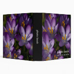 Purple Crocuses DSC5448 3 Ring Binder