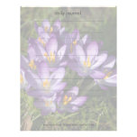 Purple Crocuses DSC5449 Letterhead Template