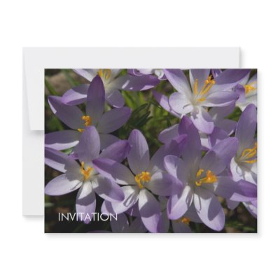 Purple Crocuses DSC5454 Personalized Invite by HortusFloridus