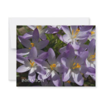 Purple Crocuses DSC5454 invitations