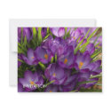 Purple Crocuses DSC5938 invitations by HortusFloridus Purple Crocuses DSC5938 invitations