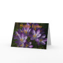 Purple Crocuses • Easter Greeting Card by SabineStGreetings Purple Crocuses • Easter Greeting Card