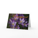 Purple Crocuses • Engagement Congratulation Card by SabineStGreetings Purple Crocuses • Engagement Congratulation Card