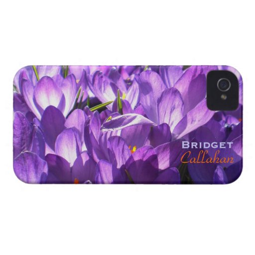 Purple Crocuses iPhone 4 case *personalize*