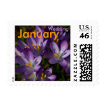 Purple Crocuses • January Wedding Stamp