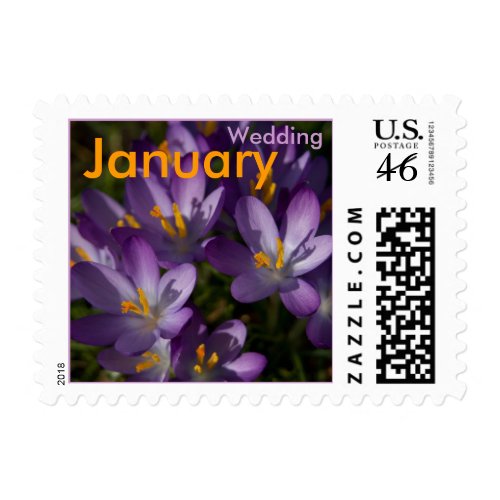 Purple Crocuses • January Wedding Stamp stamp