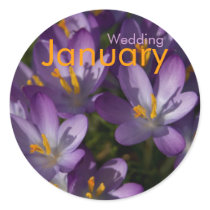 Purple Crocuses • January Wedding Sticker by SabineStGreetings Purple Crocuses • January Wedding Sticker