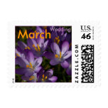 Purple Crocuses • March Wedding Stamp