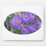 Purple Crocuses Mousepad