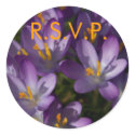 Purple Crocuses • RSVP Sticker by SabineStGreetings Purple Crocuses • RSVP Sticker