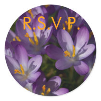 Purple Crocuses • RSVP Sticker by SabineStGreetings Purple Crocuses • RSVP Sticker