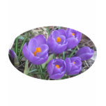 Purple Crocuses Tshirts