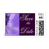Purple Curls Postage