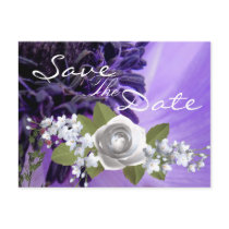 Purple Curls Postcards
