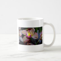 Purple Cymbidium flowers Coffee Mugs