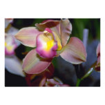 Purple Cymbidium flowers Custom Invite
