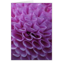 Purple Dahlia Card by ggbythebay Purple Dahlia Card