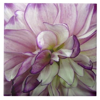 Purple Dahlia Ceramic Tile