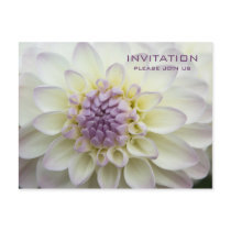 Purple Dahlia • Rehearsal Dinner Invitation postcards
