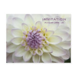 Purple Dahlia • Rehearsal Dinner Invitation Post Cards