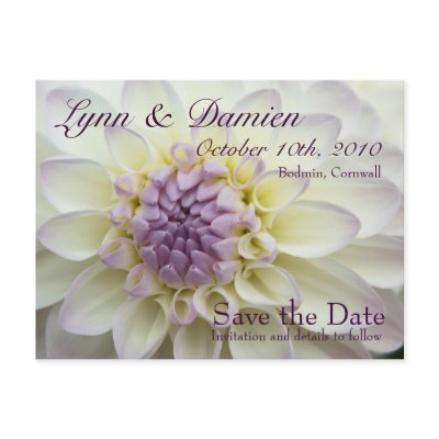 Purple Dahlia Save the Date Postcard