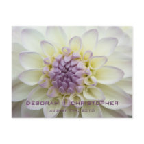Purple Dahlia • Wedding Invitation Postcard