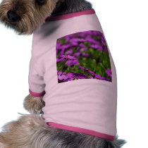 Purple Daisies Daisy pet clothing by lifesphere Purple Daisies Daisy pet clothing