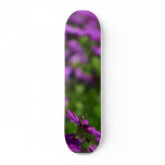 Purple Daisies Daisy