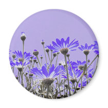 Purple Daisies Magnet by emele2 Purple Daisies Magnet