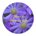 Purple Daisies - Magnet #1