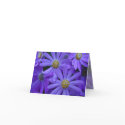 Purple Daisies - Note Card #1