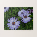 Purple Daisies Puzzle