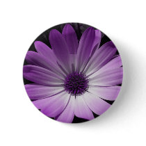Purple Daisy Flower Button