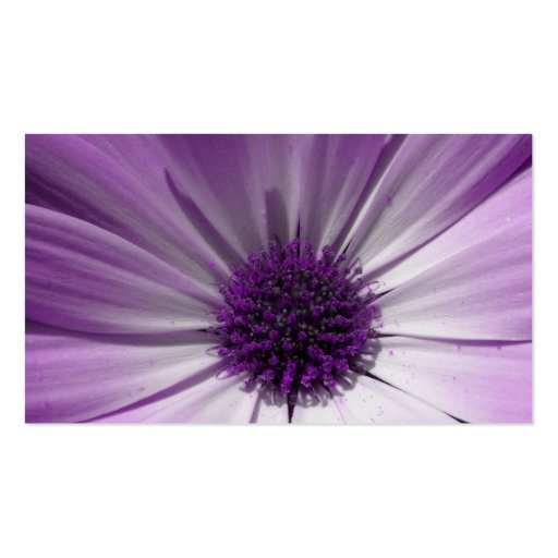 Purple Daisy Flower Customizable Business Card (back side)