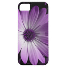 Purple Daisy Flower iPhone 5 Case
