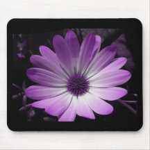 Purple Daisy Flower Mousepad