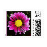 Purple Daisy Flower Stamp stamps